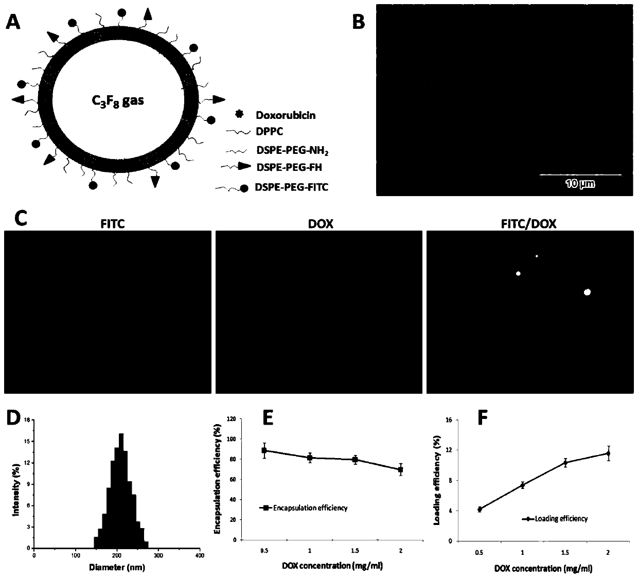 Adriamycin-carrying lipid nanoscale ultrasound contrast agent targeting tumor-related fibroblasts and preparation method of adriamycin-carrying lipid nanoscale ultrasound contrast agent