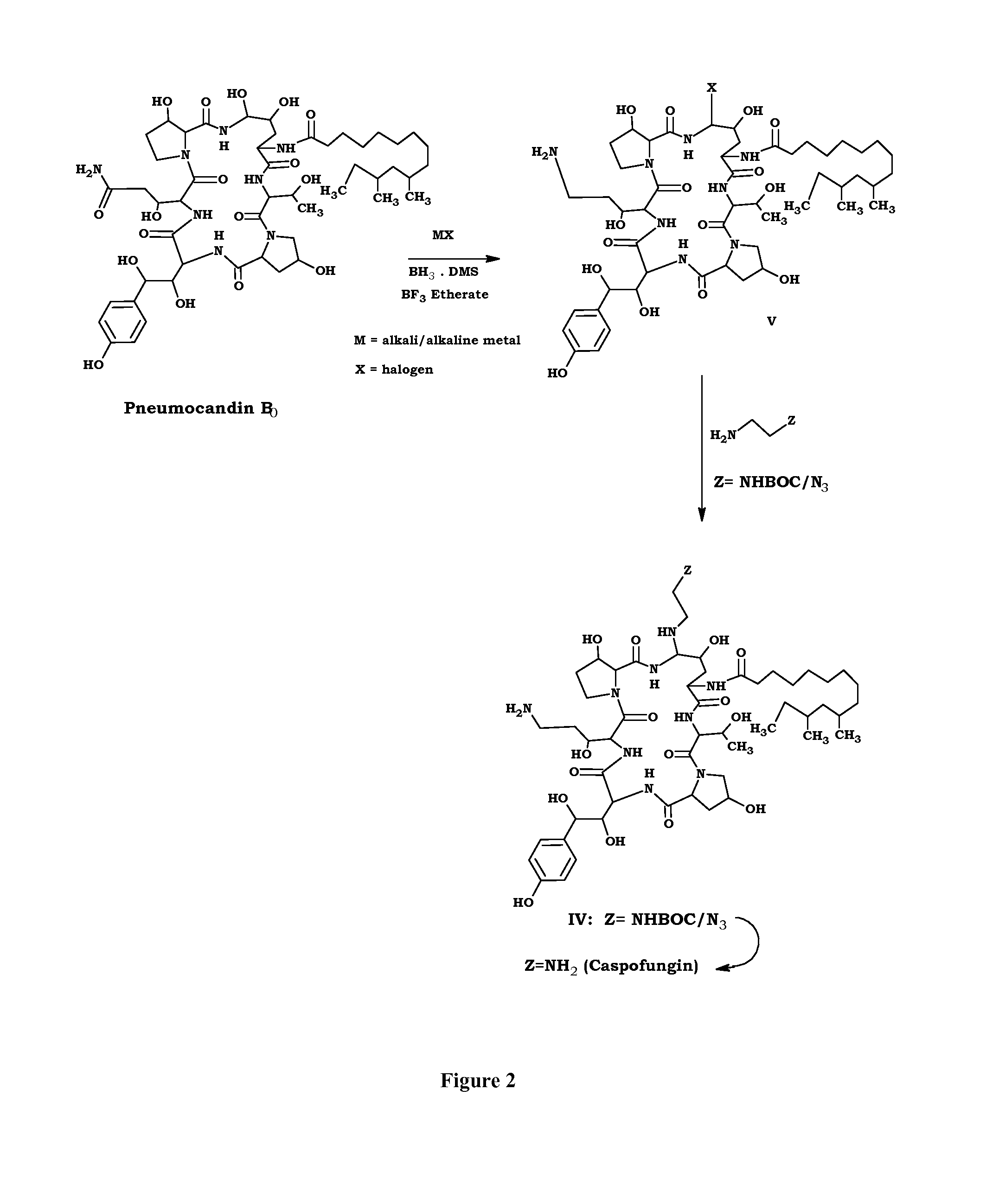 Process for preparation of caspofungin acetate and intermediates