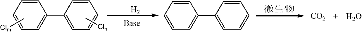 Process for combination degradation of polychlorinated biphenyls