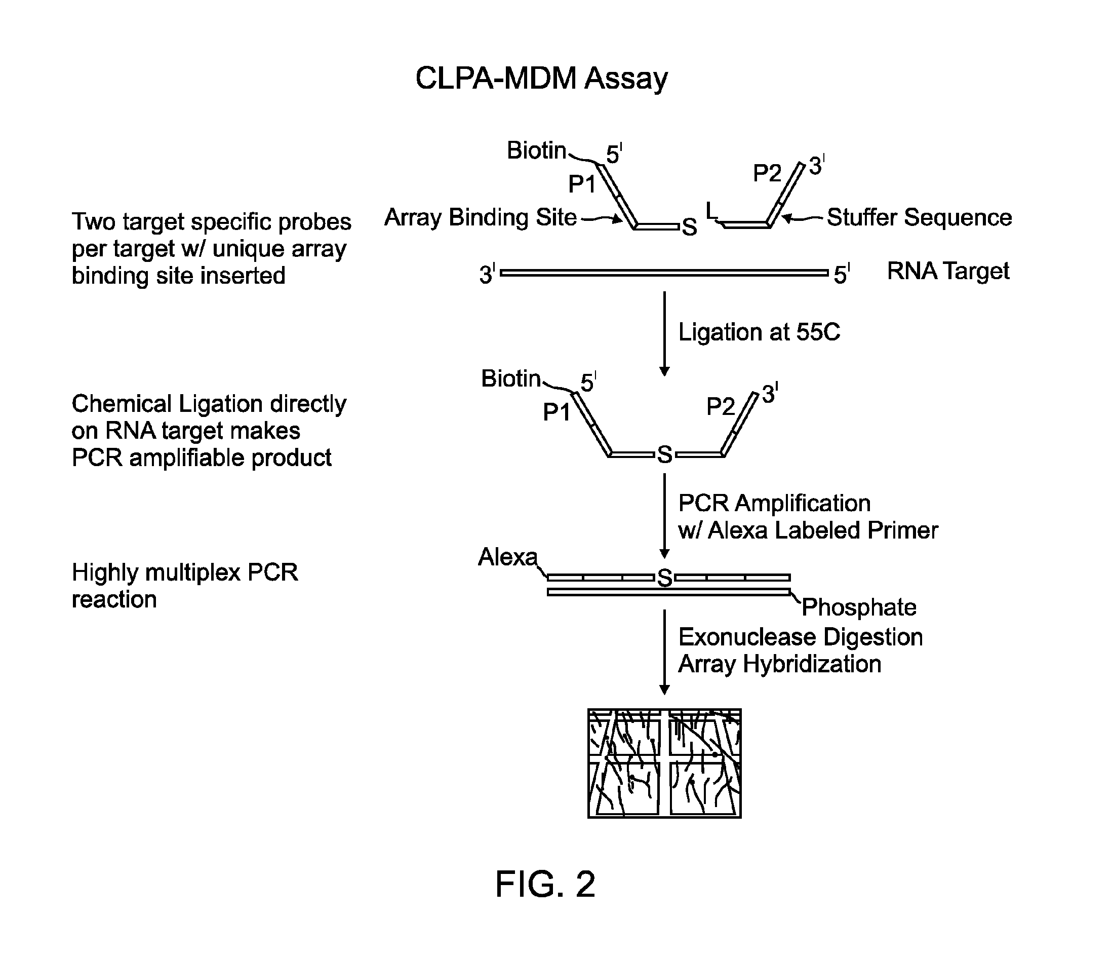 Methods and compositions for detecting target nucleic acids