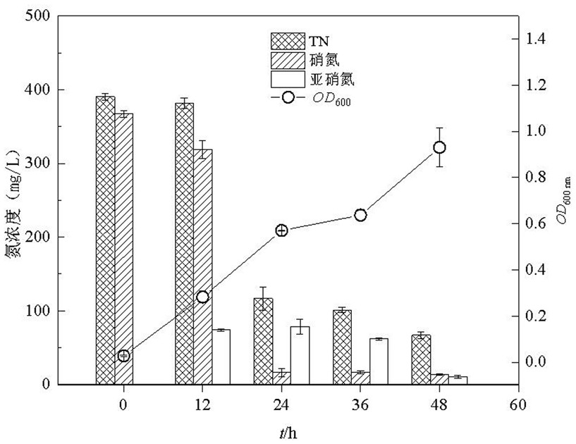 Efficient denitrification aerobic denitrification strain and application thereof