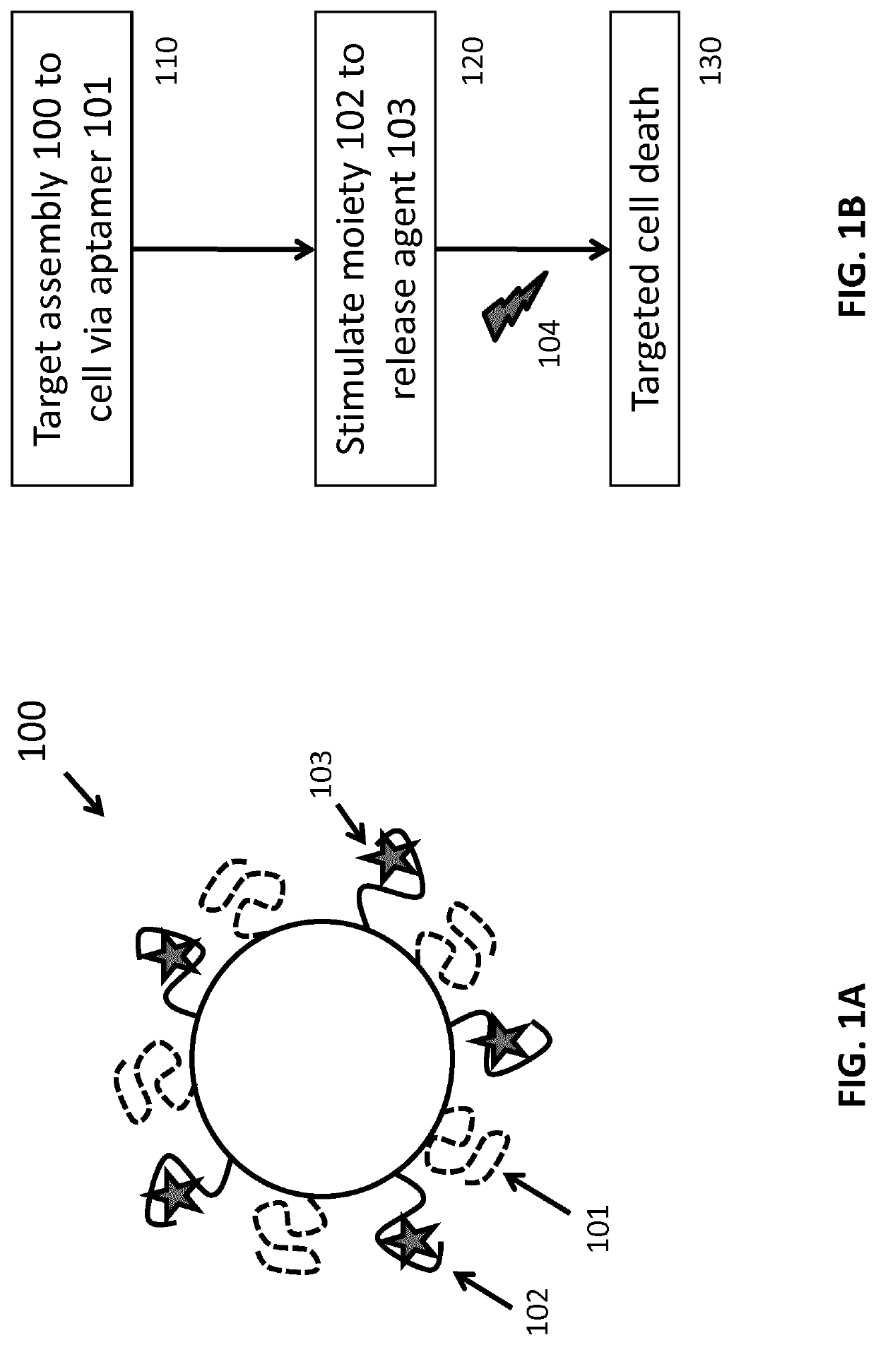 Nucleic acid-based assembly and uses thereof