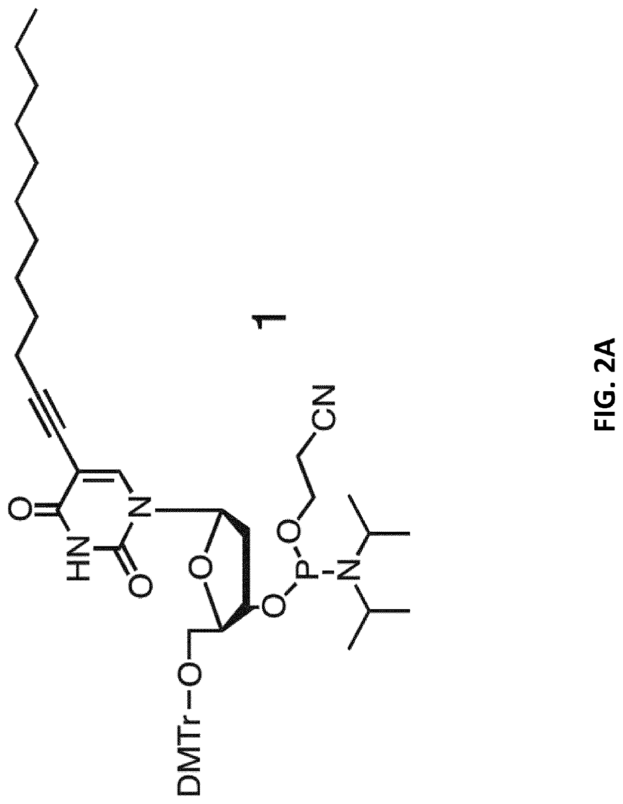 Nucleic acid-based assembly and uses thereof