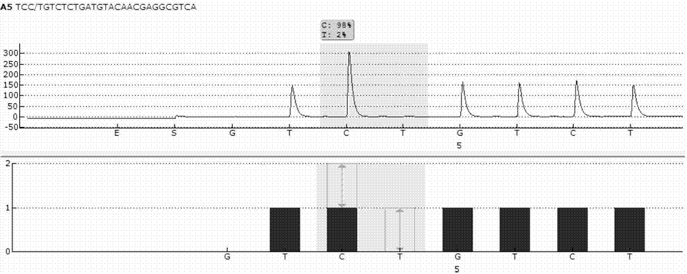 Sequencing primer for qualitative detection of genetic typing of uridinediphosphoglucuronate glucuronosyltransferase 1A1 and kit thereof