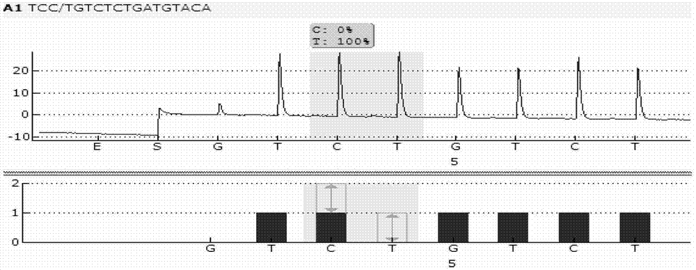 Sequencing primer for qualitative detection of genetic typing of uridinediphosphoglucuronate glucuronosyltransferase 1A1 and kit thereof