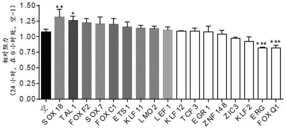 Synergistic transcription factors to induce high resistance transendothelial barrier