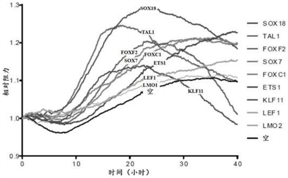 Synergistic transcription factors to induce high resistance transendothelial barrier