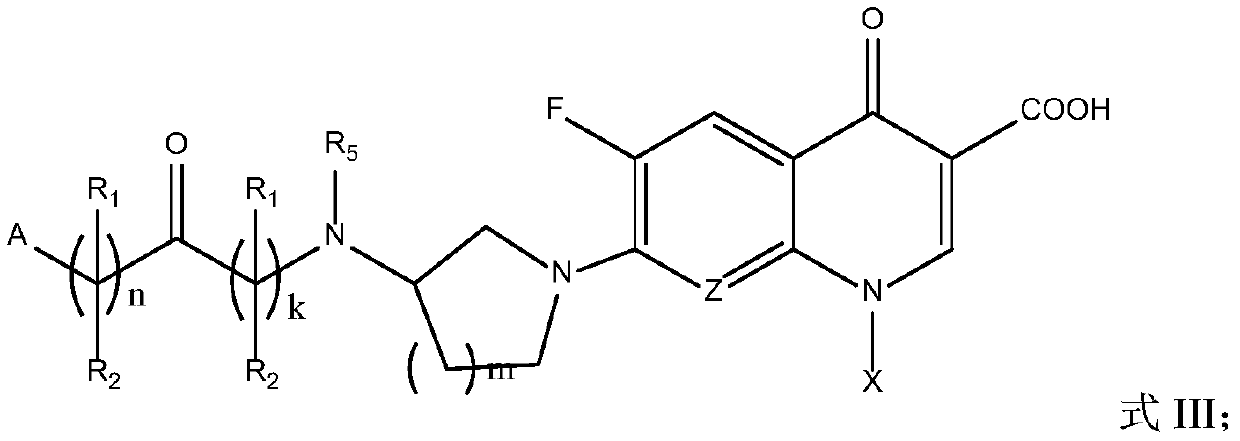 Fluoroquinolone amido derivatives and application thereof