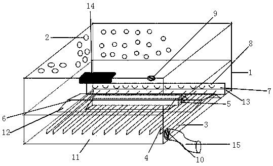 Large-scale breeding of sand crawling worm adults and hatching method of eggs