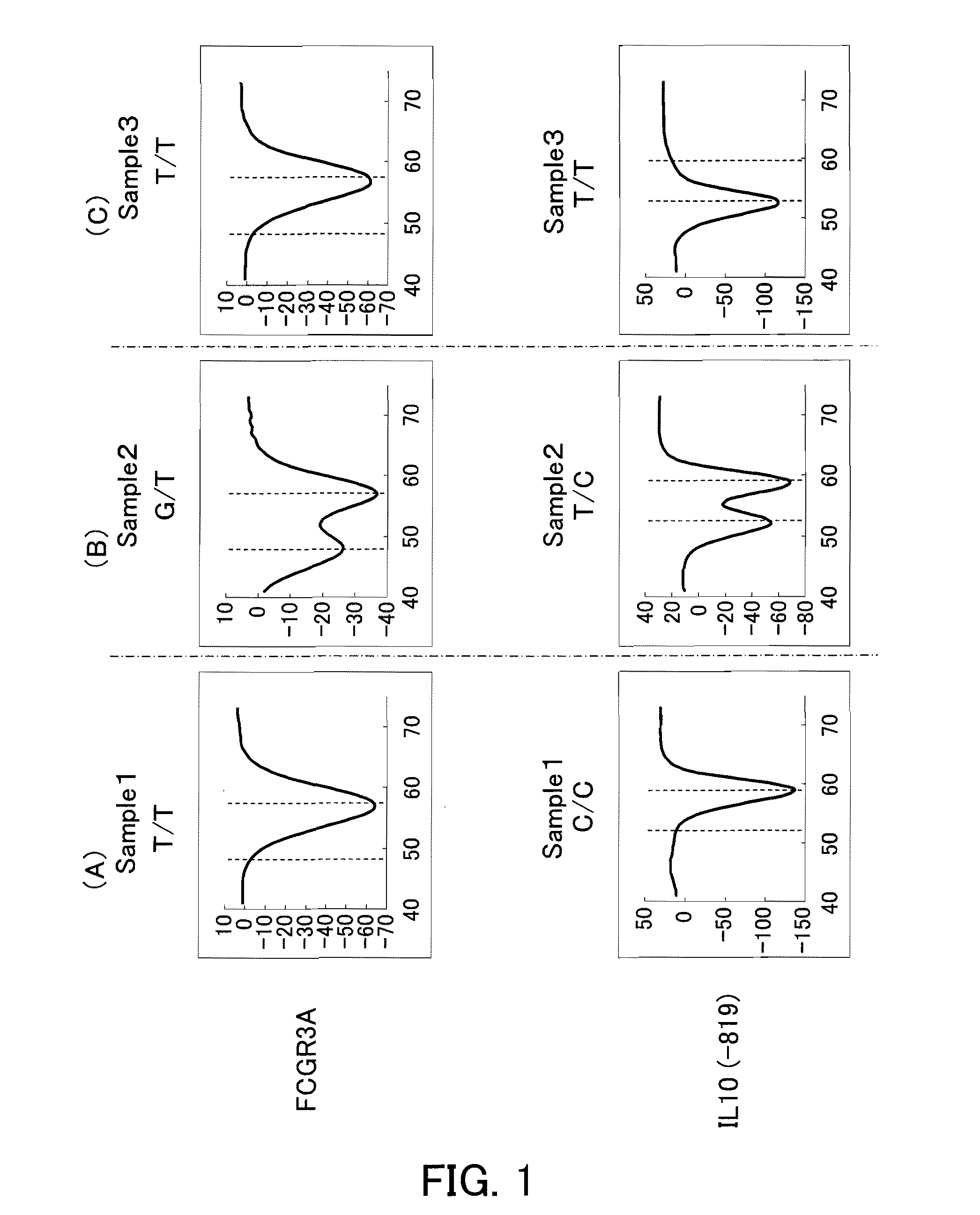 Probes for detecting immune-related gene polymorphisms and applications of the same