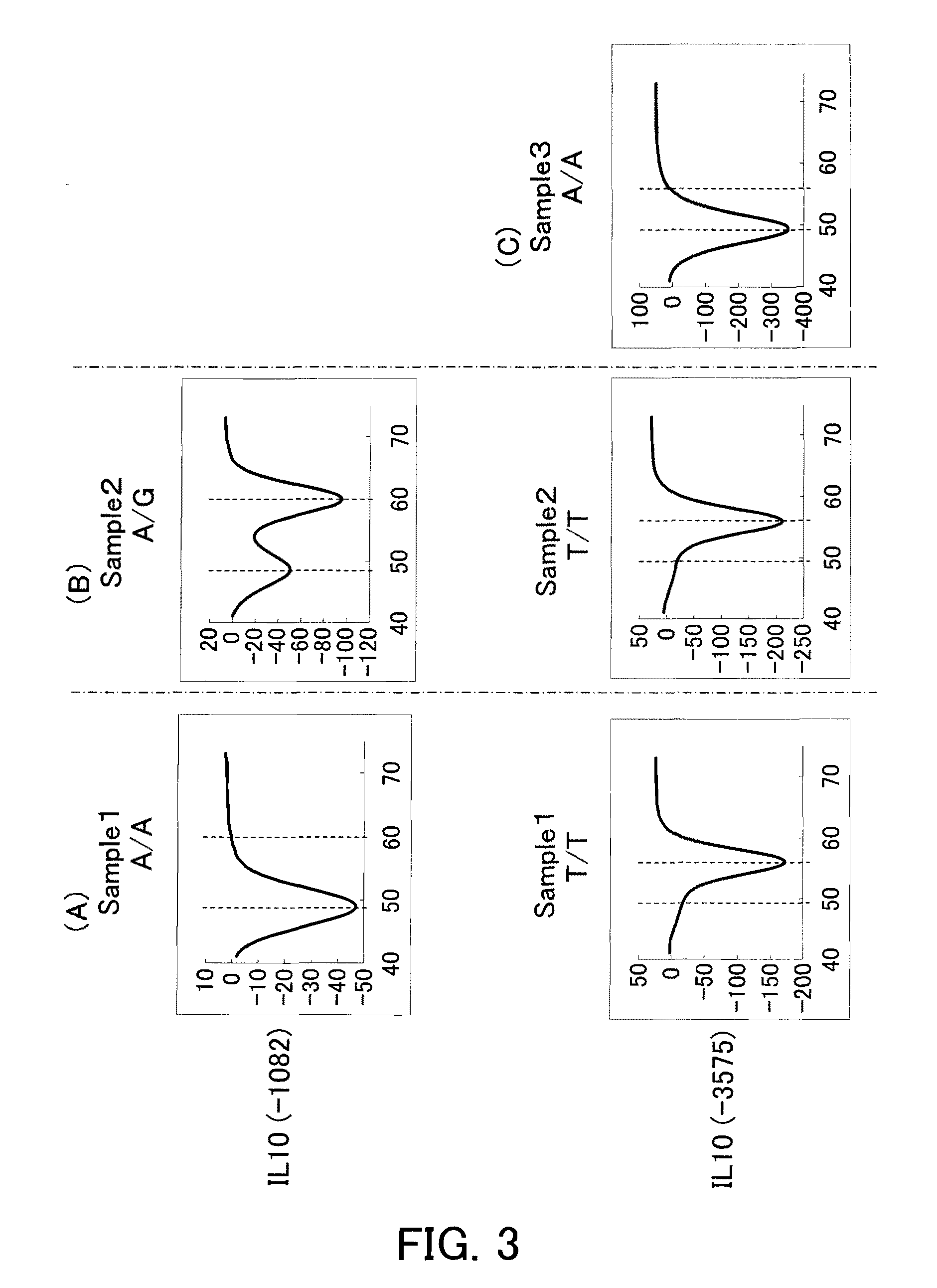 Probes for detecting immune-related gene polymorphisms and applications of the same