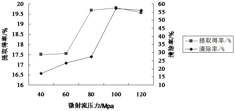 A kind of extraction method of Kunlun snow chrysanthemum proanthocyanidins and its application in delaying aging