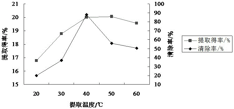 A kind of extraction method of Kunlun snow chrysanthemum proanthocyanidins and its application in delaying aging