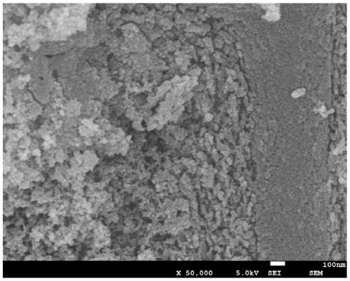 Method for preparing aquatic animal activated carbon by hydrothermal method