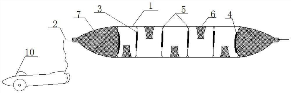 Under-ice collecting device for protosalanx hyalocranius parents and using method of under-ice collecting device