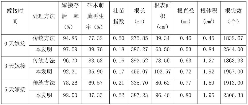 A watermelon top-cutting grafting method that reduces rootstock germination and tiller regeneration