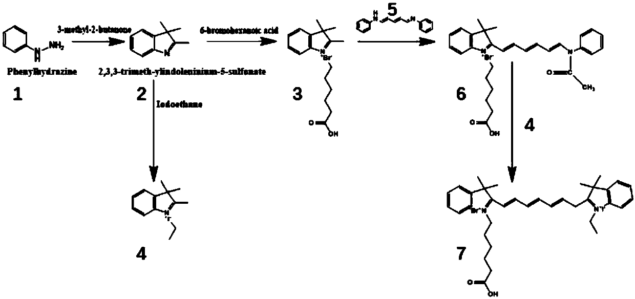 Siliceous nanoparticle drug carrier, diagnostic and therapeutic preparation thereof and preparation method