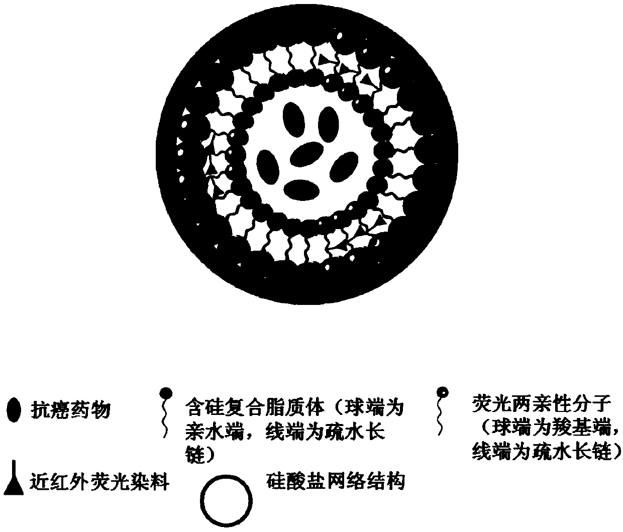 Siliceous nanoparticle drug carrier, diagnostic and therapeutic preparation thereof and preparation method