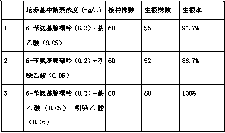 A kind of rapid propagation method of Trichosanthes chinensis