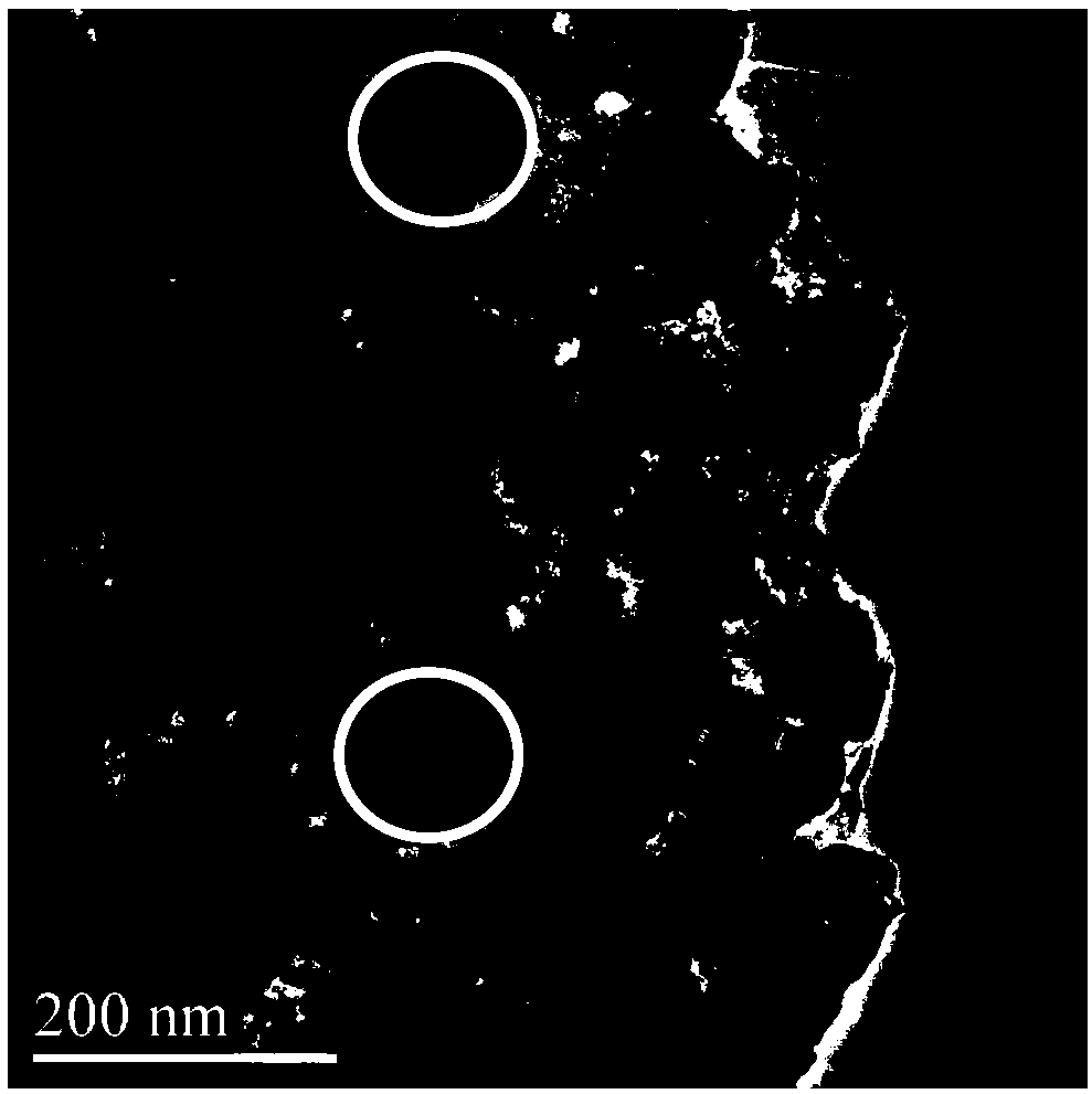 N-doped carbon-loaded double-scaling transition metal phosphide and preparation method and application thereof