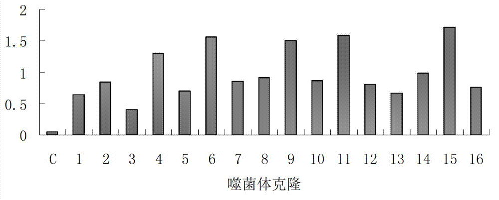 Secondary sicca syndrome epitope and application thereof