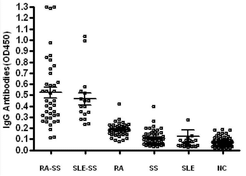 Secondary sicca syndrome epitope and application thereof