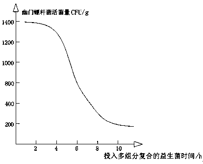 Multi-component compound probiotics with function of treating chronic gastritis