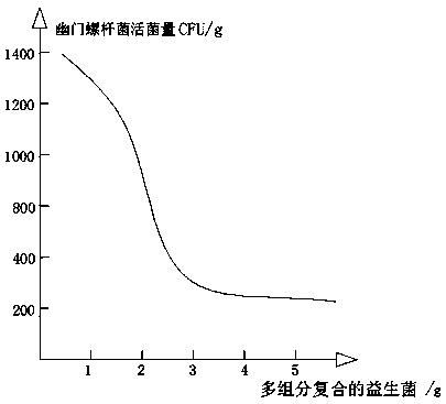 Multi-component compound probiotics with function of treating chronic gastritis