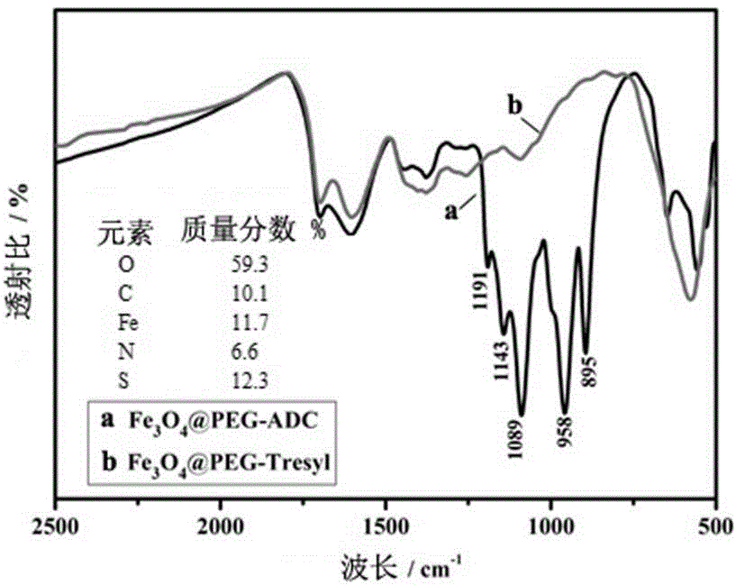 Two-step enzymolysis identification method based on protein reversible fixation