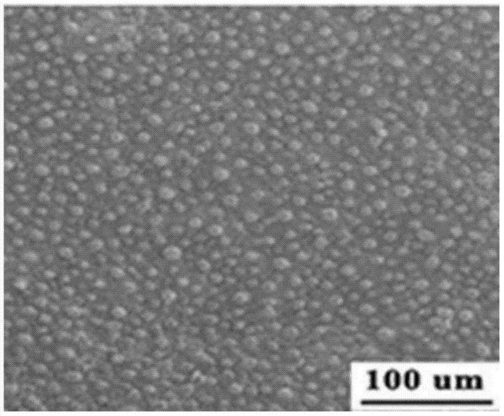 Preparation method of lotus-like super-hydrophobic self-cleaning surface