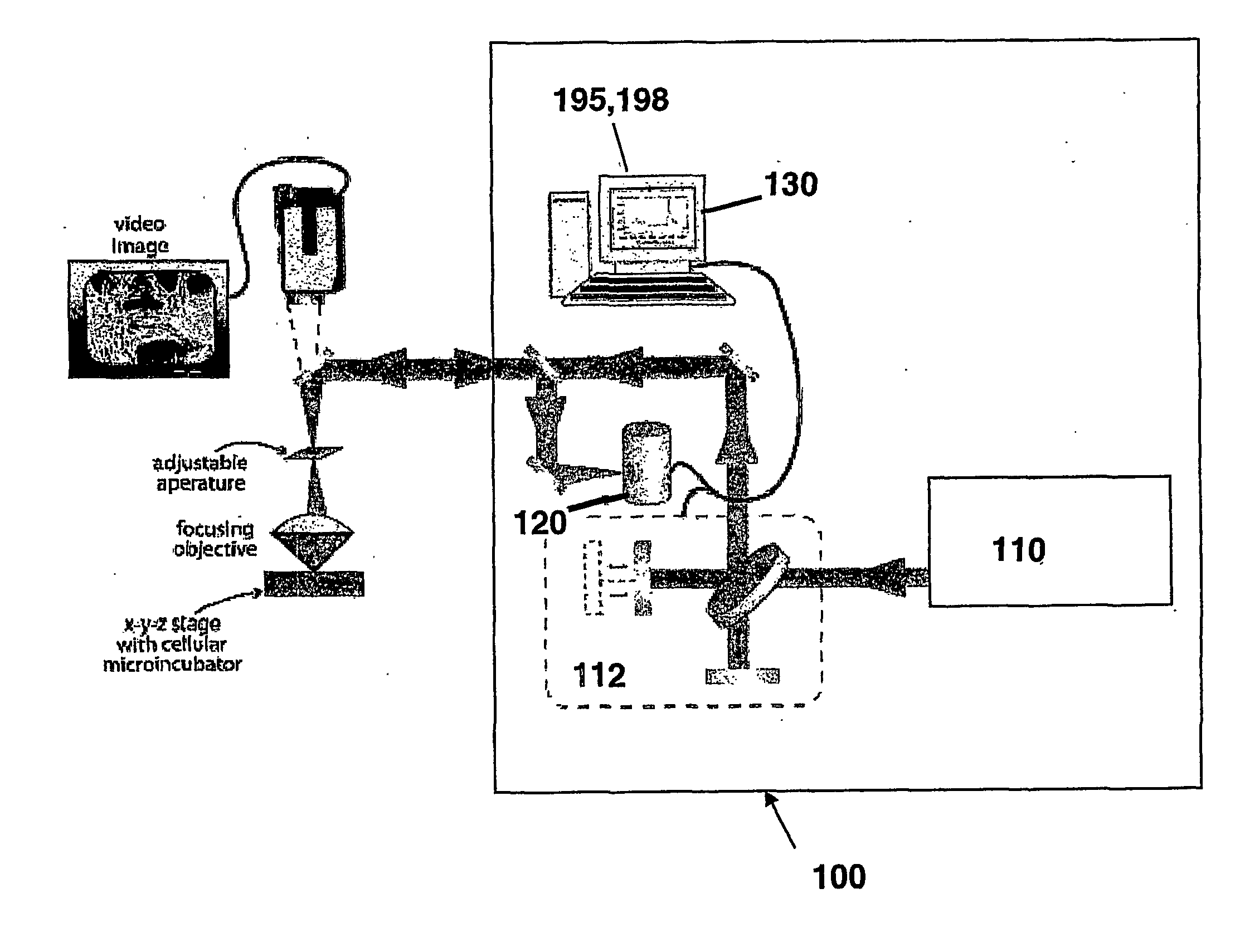 Catheter-based mid-infrared reflectance and reflectance generated absorption spectroscopy