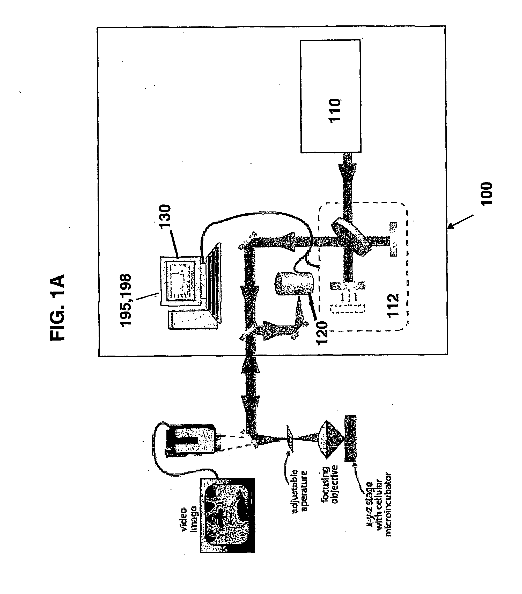 Catheter-based mid-infrared reflectance and reflectance generated absorption spectroscopy