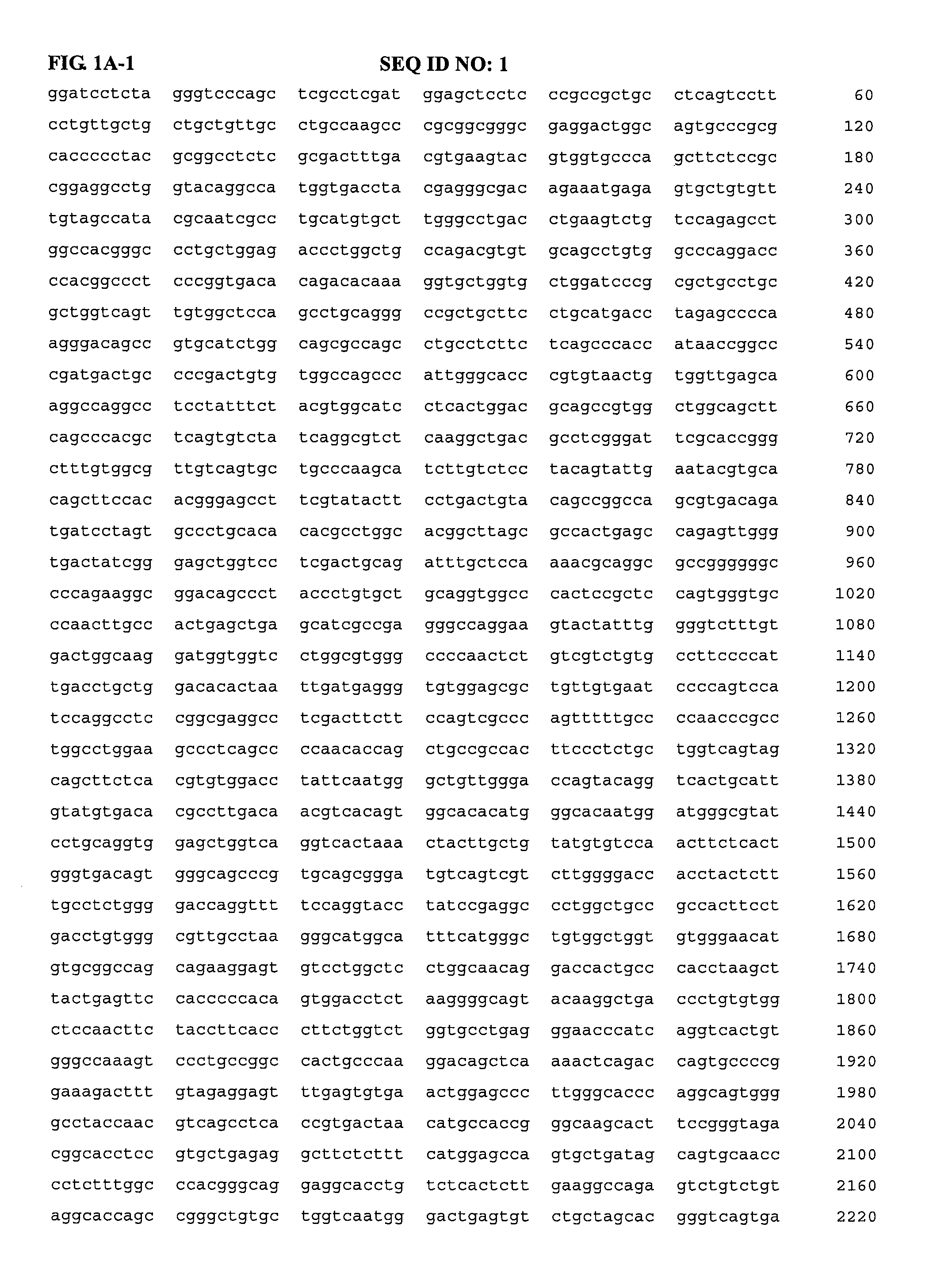 Human Ron-related gene variant associated with cancers