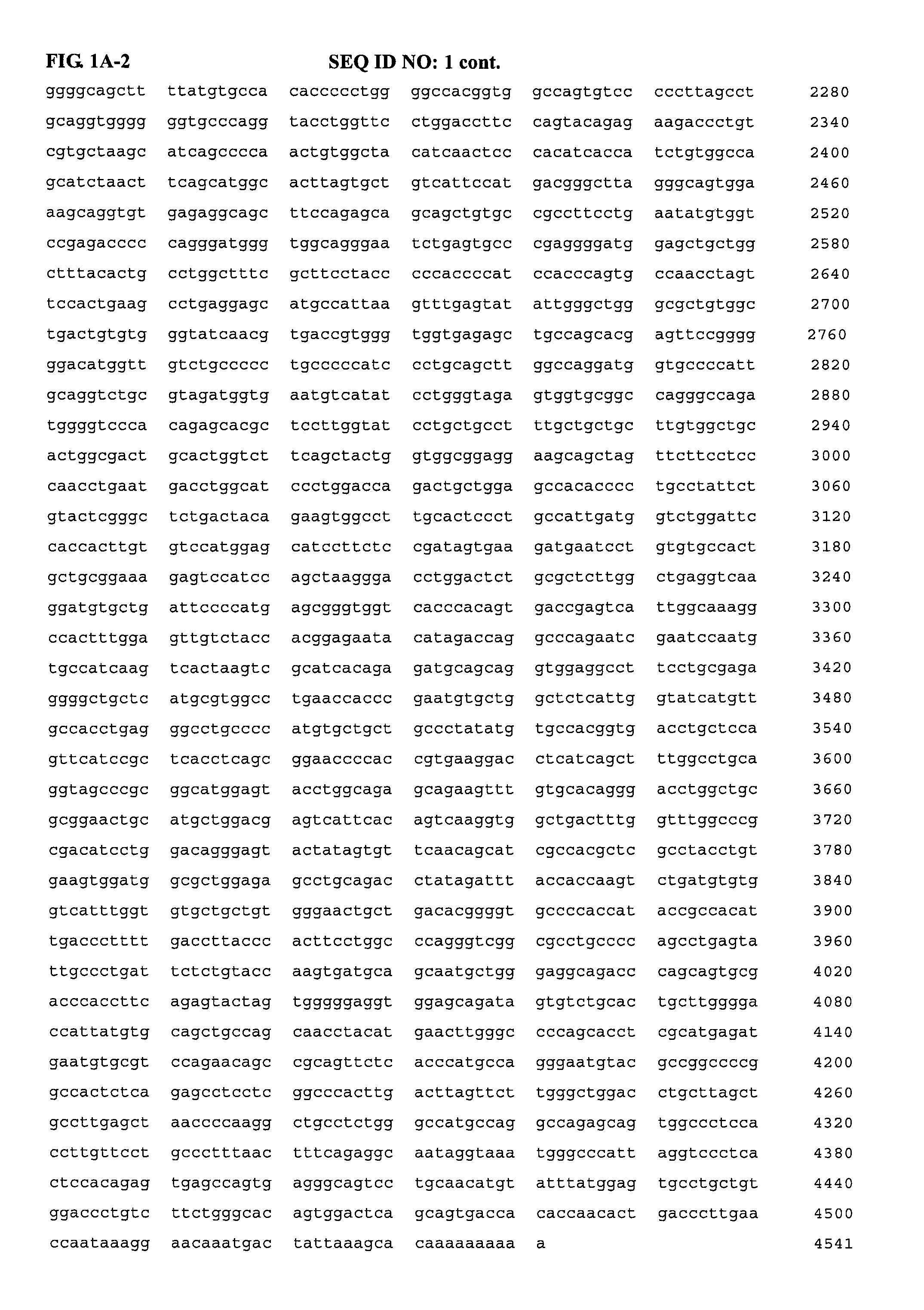 Human Ron-related gene variant associated with cancers