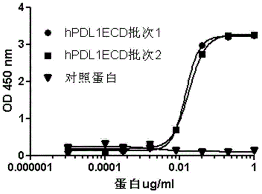 PD (Programmed Cell Death)-1 antibody as well as preparation method and application thereof