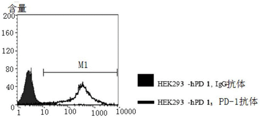 PD (Programmed Cell Death)-1 antibody as well as preparation method and application thereof