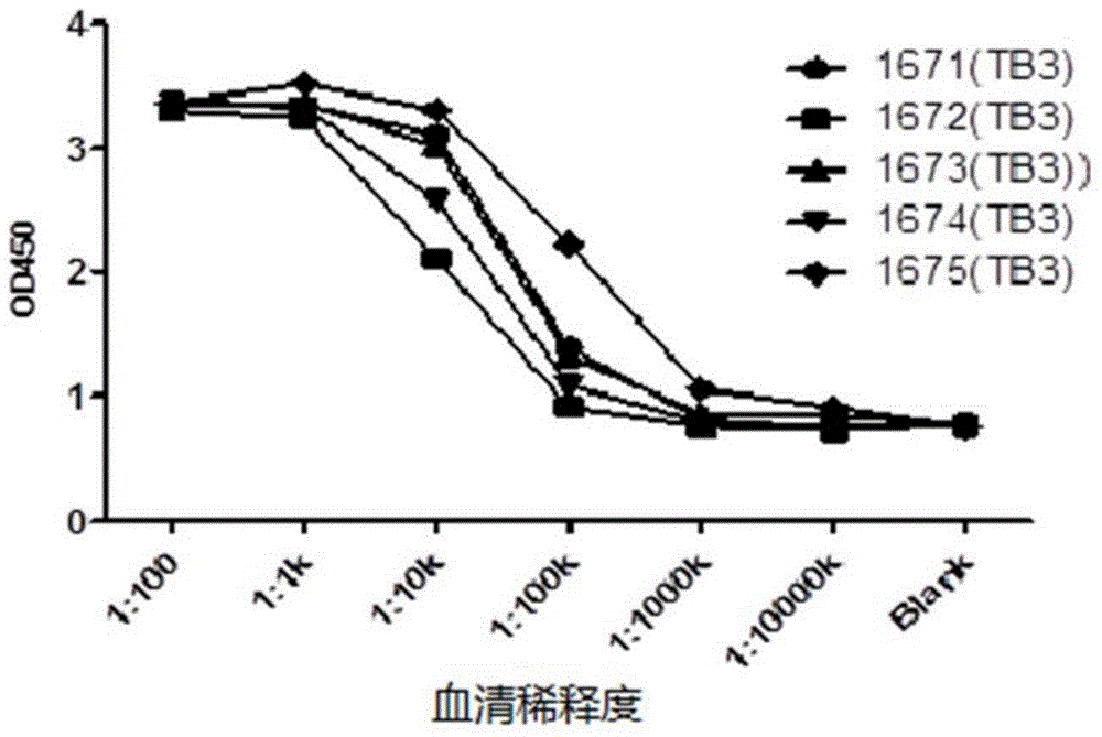 PD (Programmed Cell Death)-1 antibody as well as preparation method and application thereof