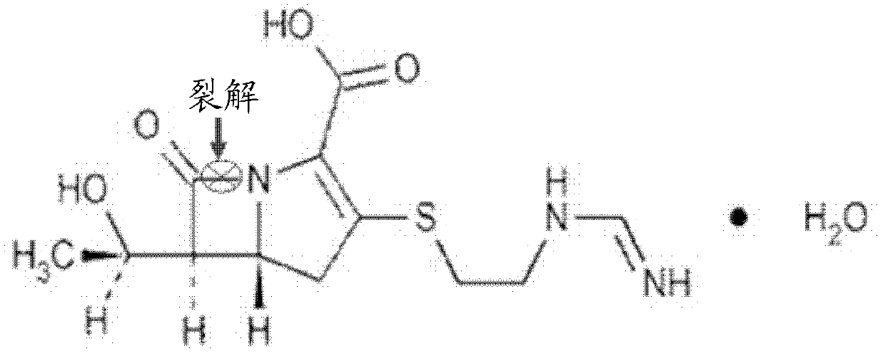 Application of isatin thiosemicarbazone compound in inhibition of NDM-1 activity