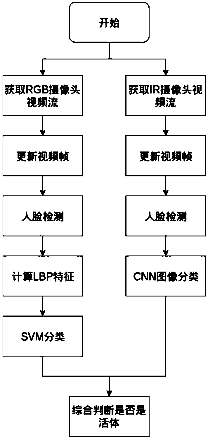 RGB (Red Green Blue) and IR (Infrared) binocular camera-based living body detecting method and device