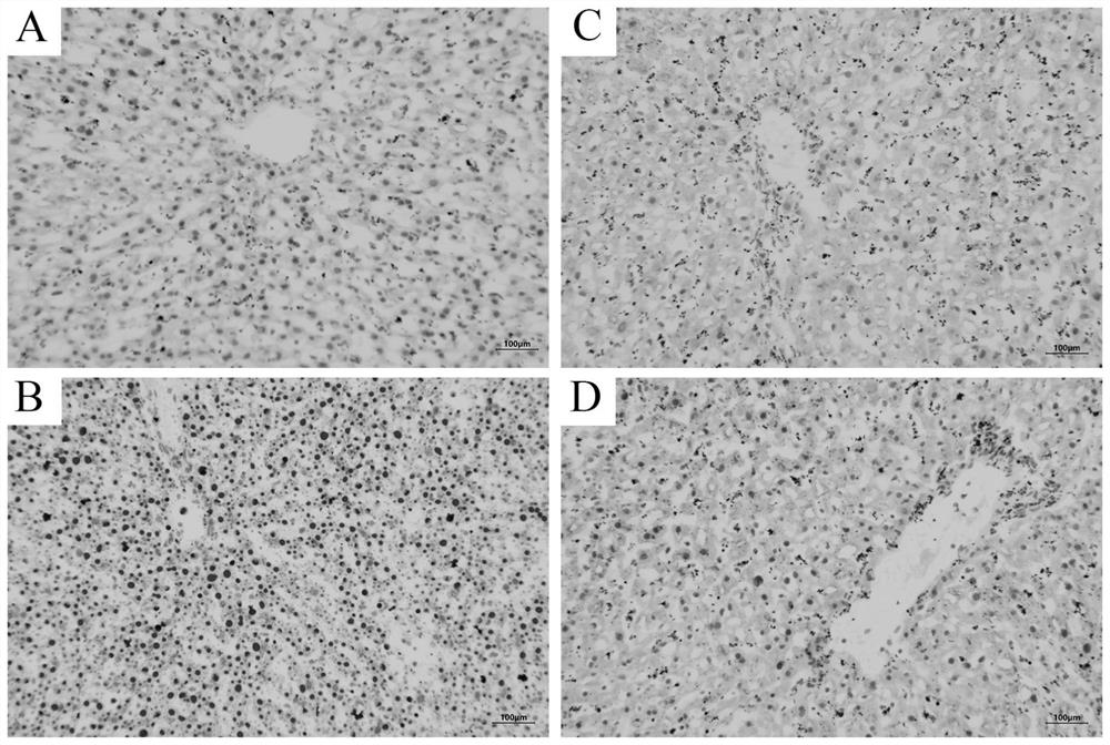 Preparation method and application of isovitexin