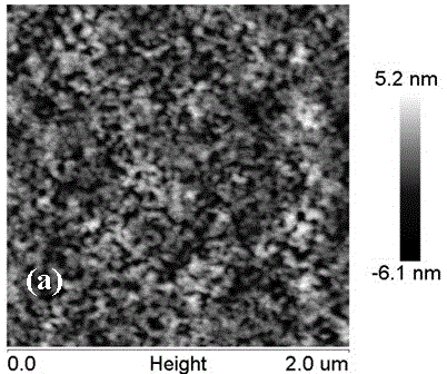 Protein antibacterial catheter and preparation method thereof