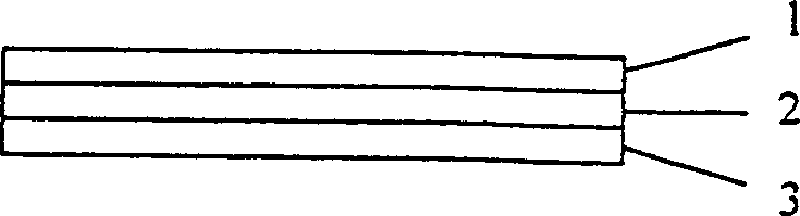 Protein chip for covalent fixing biomolecular and its preparation method