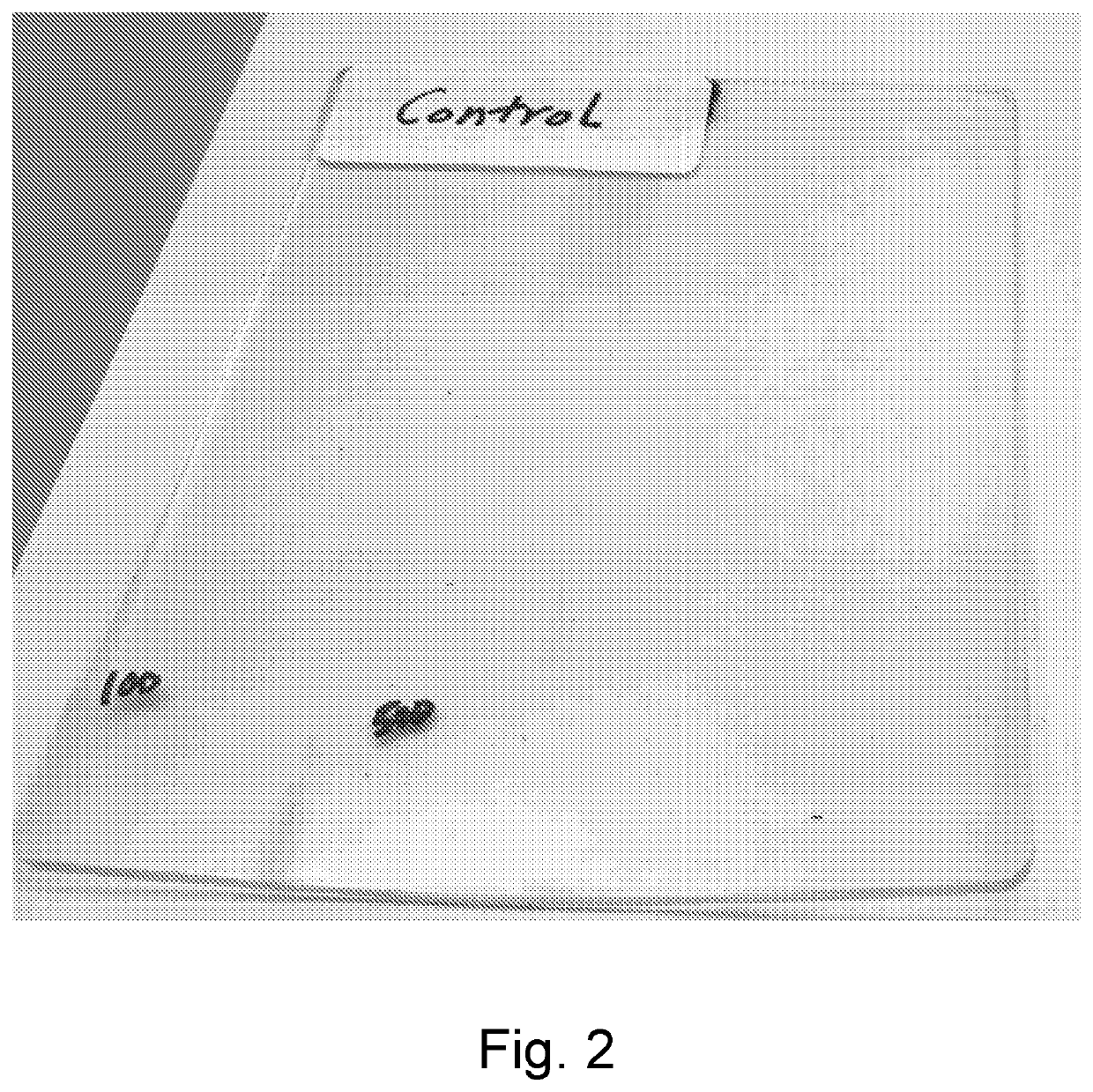 Thermoplastic elastomer compounds exhibiting improved stain resistance