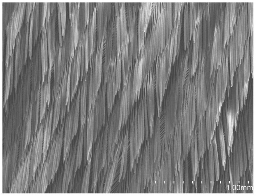 Sodium alginate modified amphiphilic feather as well as preparation method and application thereof