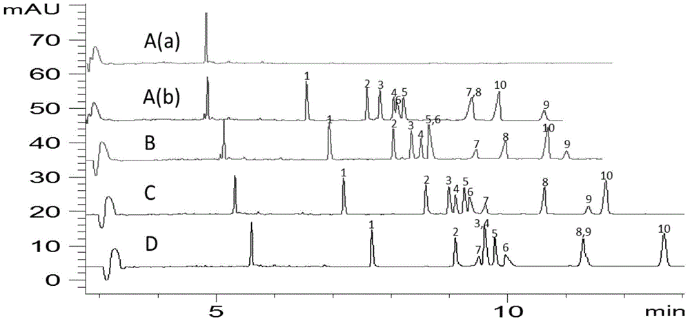 Method for detecting phenolic acid and/or tanshinone ingredient by capillary electrophoresis