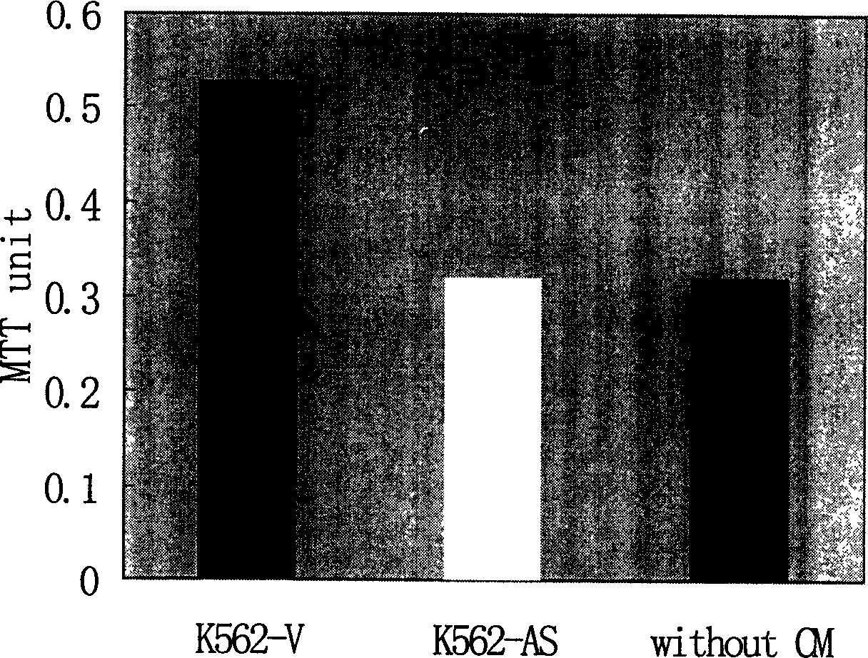 Application of anti-sense VEGF gene sequence