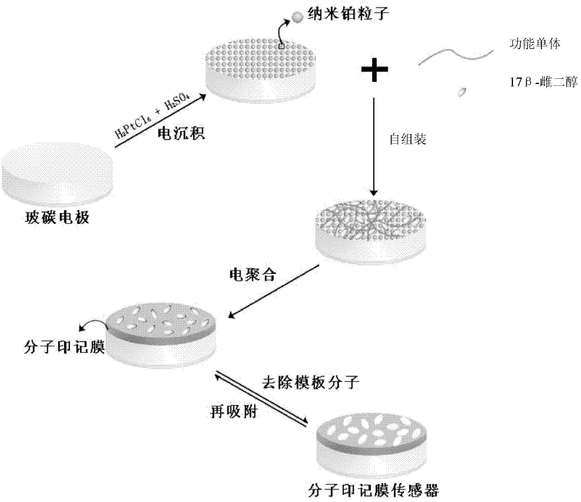 Preparation method for 17 beta-estradiol molecular imprinting film electrochemical sensor