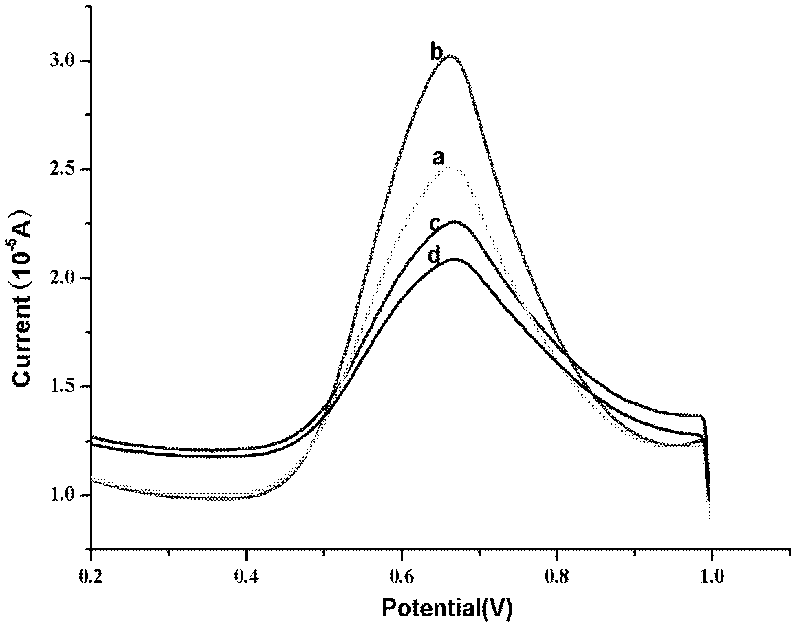 Preparation method for 17 beta-estradiol molecular imprinting film electrochemical sensor