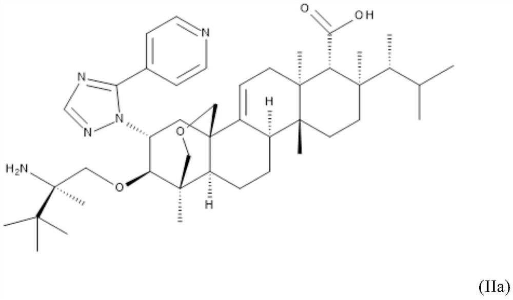 Triterpenoid antifungals for the treatment of fungal osteo-articular infections