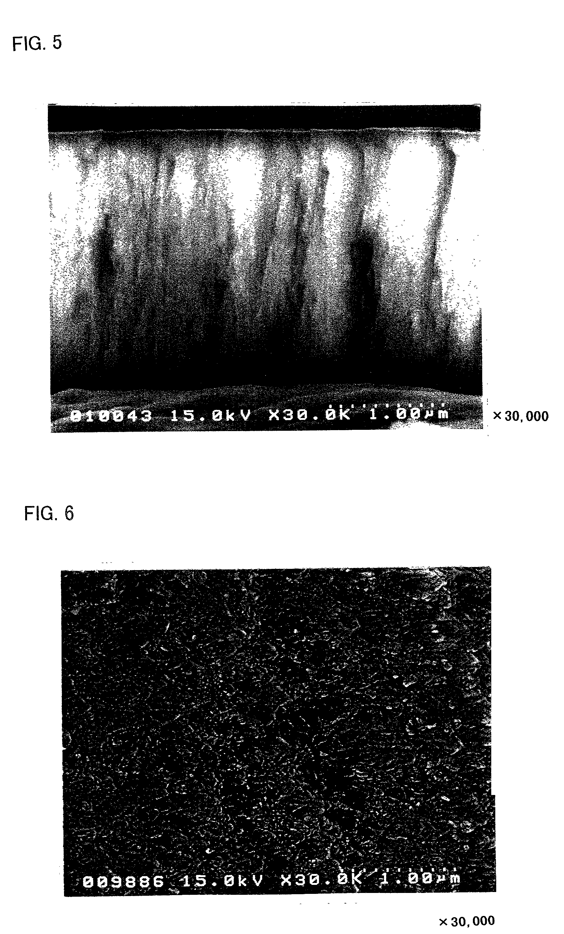 Lithium secondary battery and positive electrode for lithium secondary battery